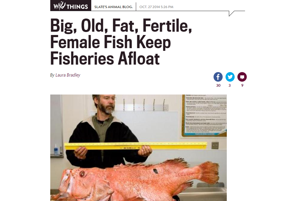 A screenshot of the offending web page: "Big, Old, Fat, Fertile, Female Fish Keep Fisheries Afloat"
