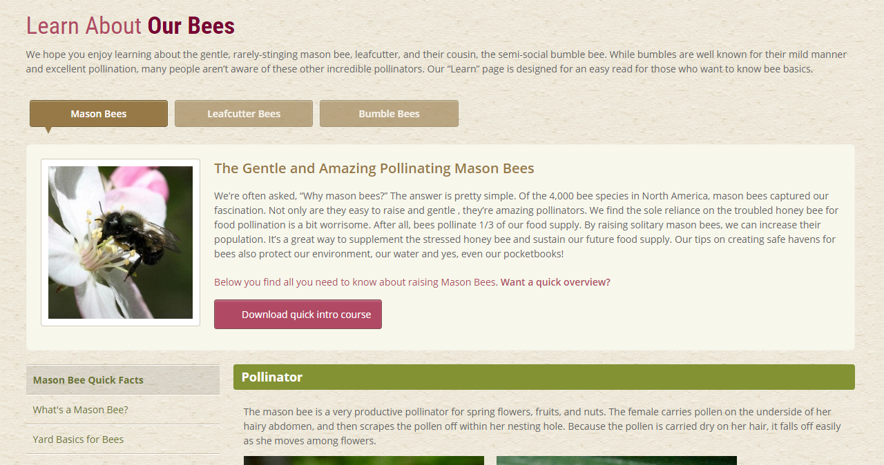 Screenshot of learn mason bees page