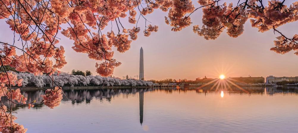 Photo of Washington DC