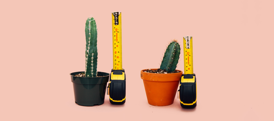 Competitive cactus testing